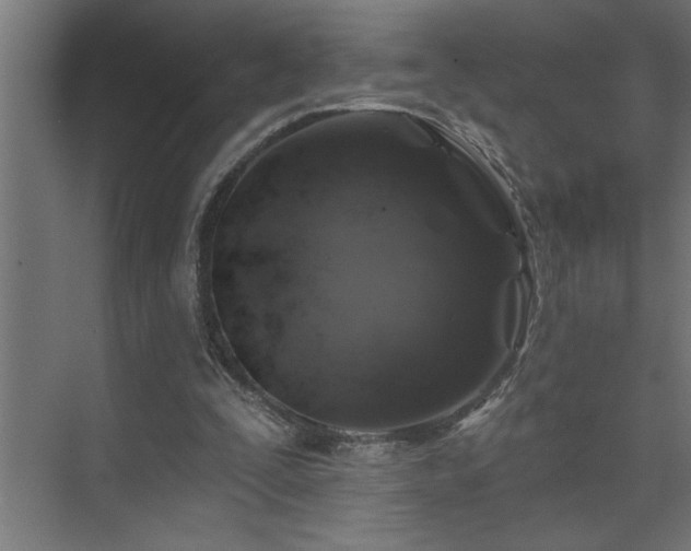 X0000074260295200608251233