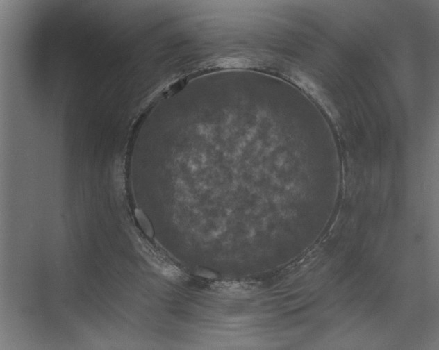 X0000074260297200608251233