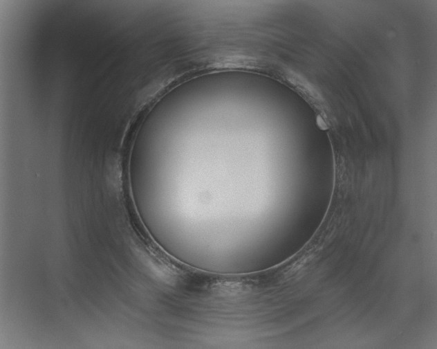 X0000074260298200608251233