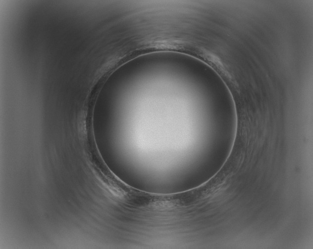 X0000074260299200608251233