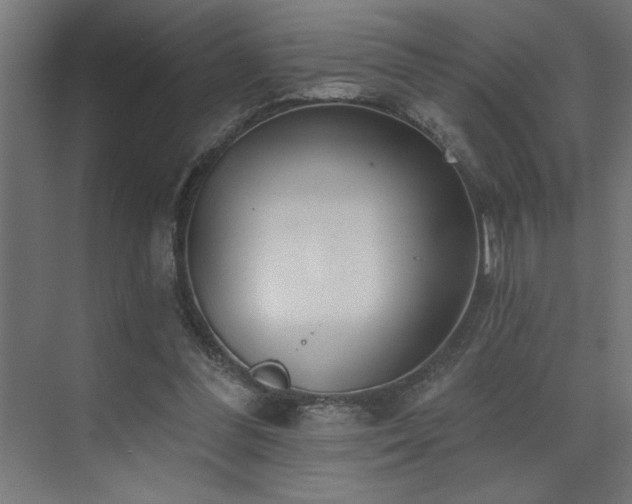 X0000074260300200608251233