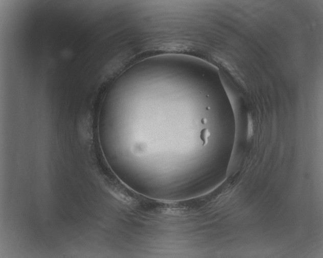 X0000074260303200608251233