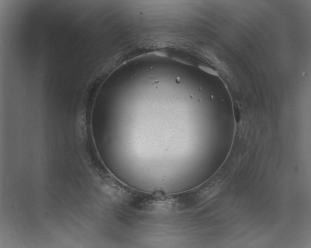 X0000074260306200608251233