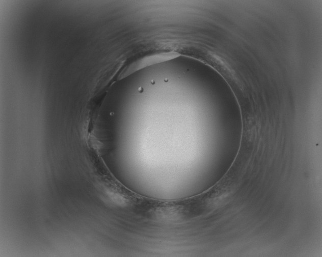 X0000074260307200608251233