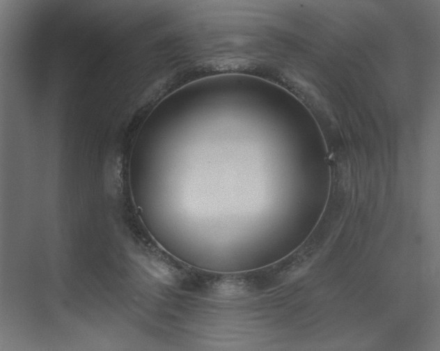 X0000074260308200608251233