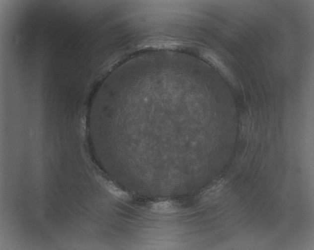 X0000074260309200608251233