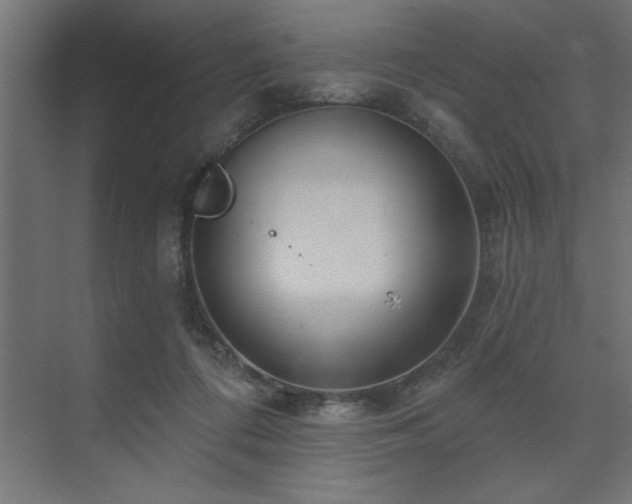 X0000074260312200608251233