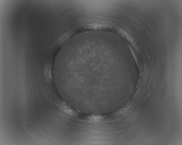 X0000074260313200608251233