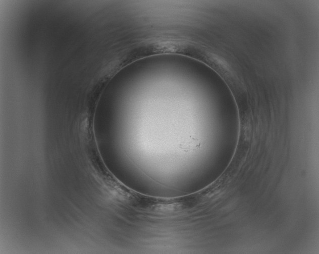 X0000074260314200608251233