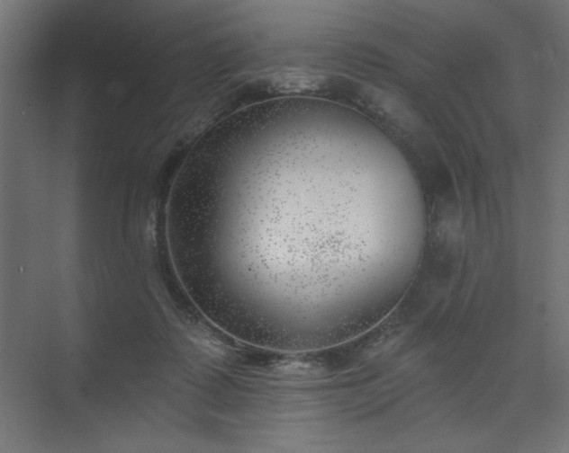 X0000074260315200608251233