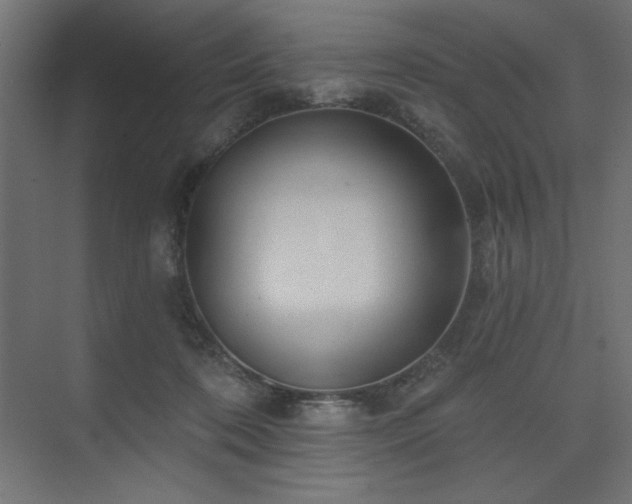 X0000074260316200608251233