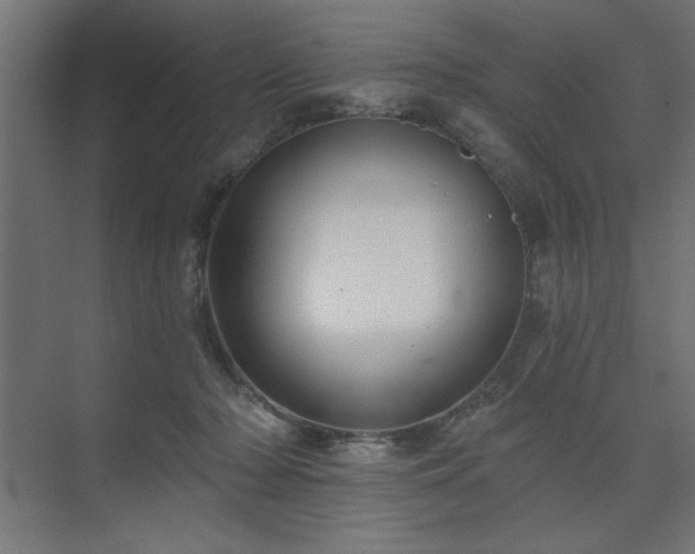 X0000074260318200608251233