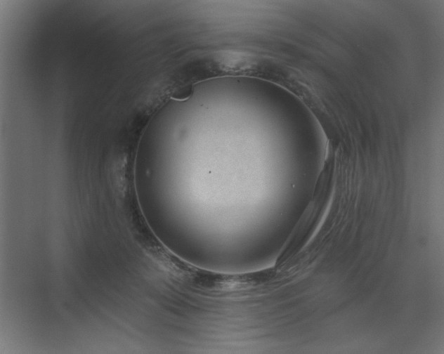 X0000074260319200608251233