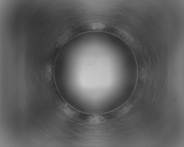 X0000074260321200608251233