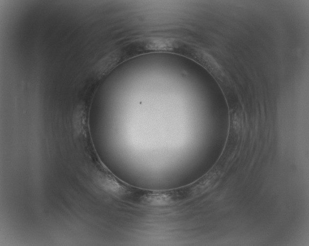 X0000074260322200608251233