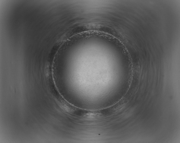 X0000074260323200608251233