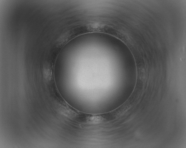 X0000074260324200608251233