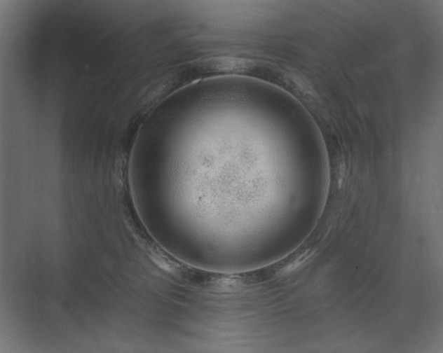 X0000074260325200608251233