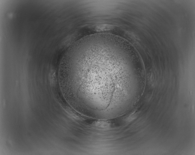 X0000074260327200608251233