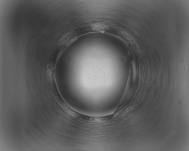 X0000074260329200608251233