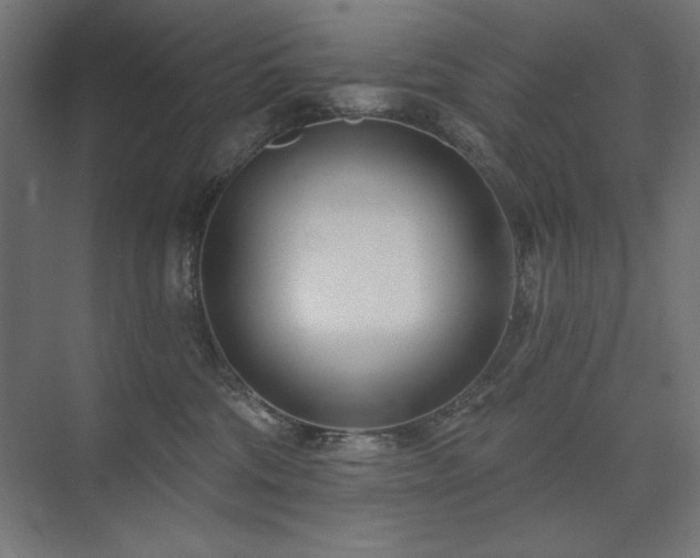 X0000074260330200608251233