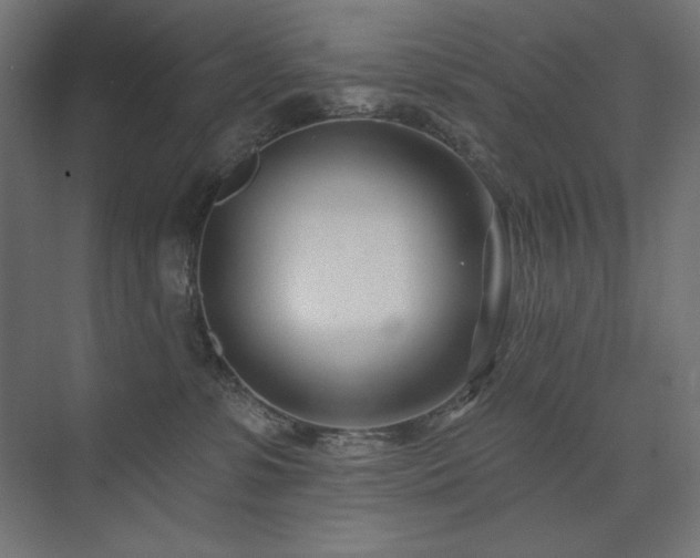 X0000074260331200608251233