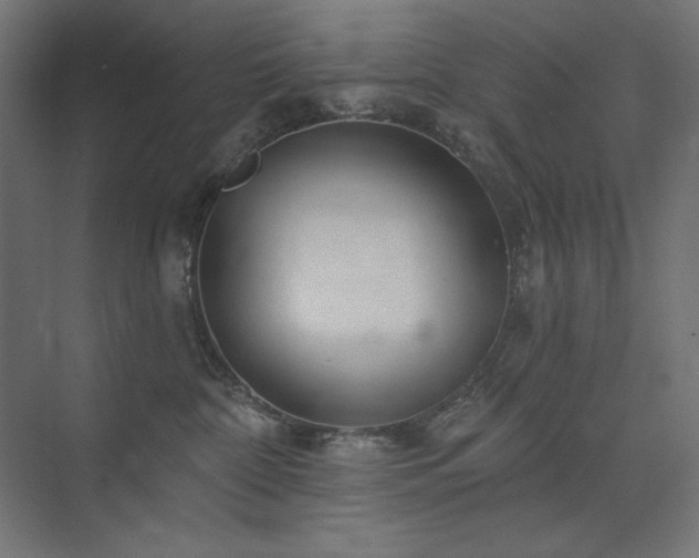 X0000074260332200608251232