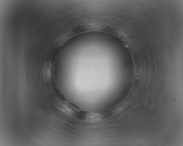 X0000074260334200608251232