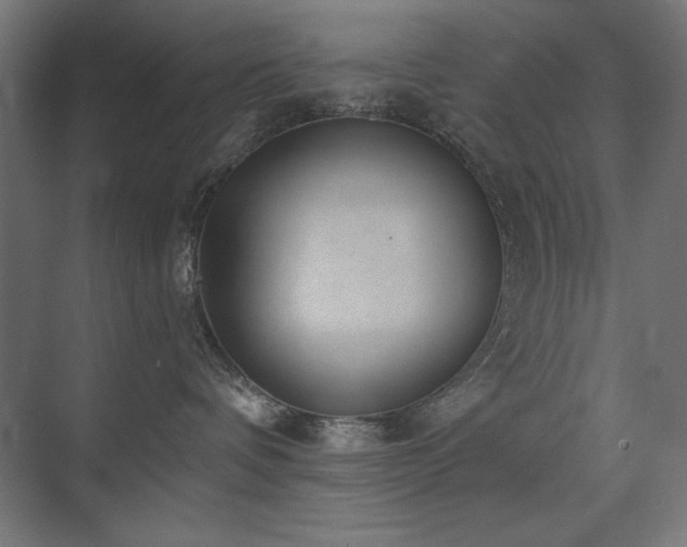 X0000074260336200608251232