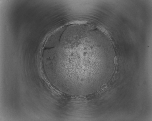 X0000074260337200608251232