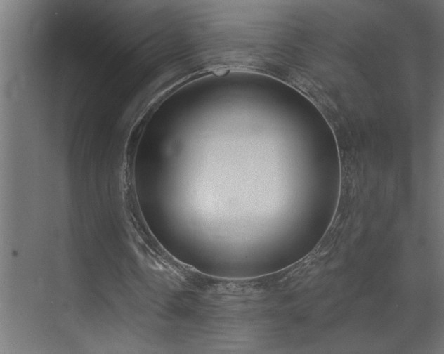 X0000074260338200608251232