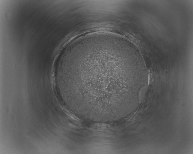 X0000074260339200608251232