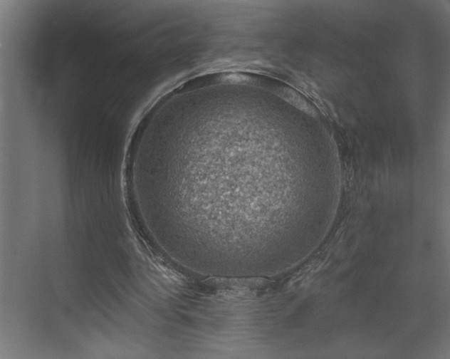 X0000074260340200608251232