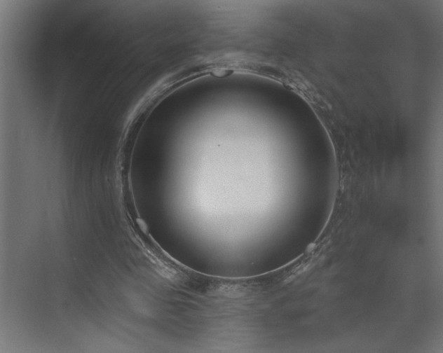 X0000074260341200608251232