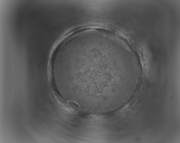 X0000074260343200608251232