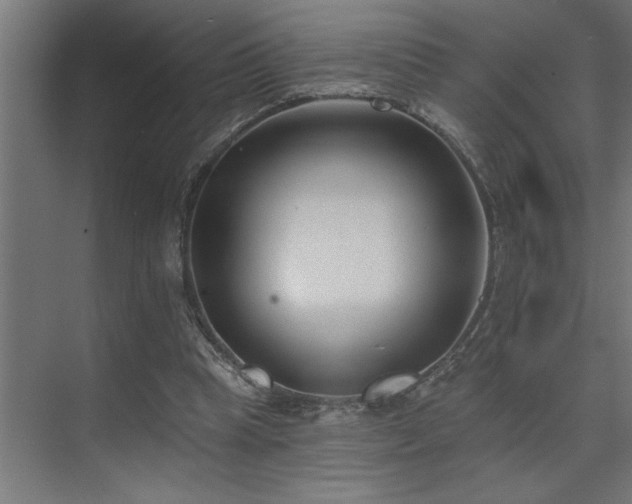 X0000074260345200608251232