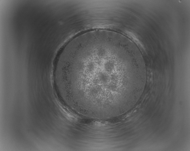 X0000074260346200608251232