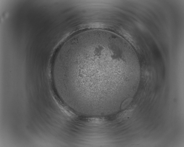 X0000074260347200608251232