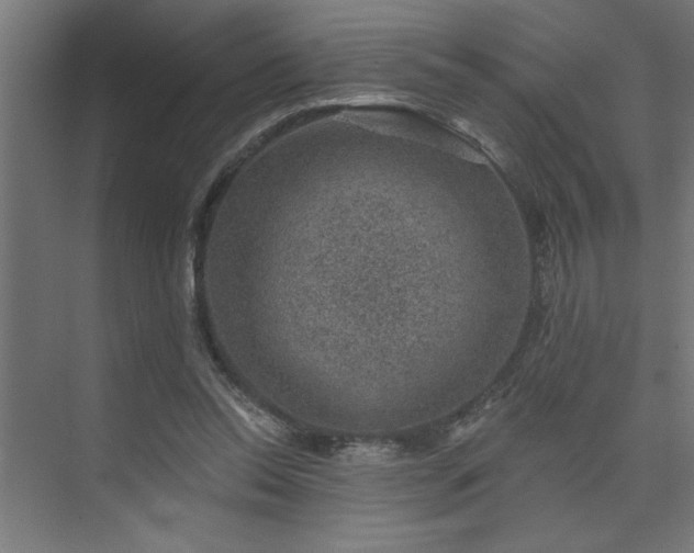 X0000074260350200608251232