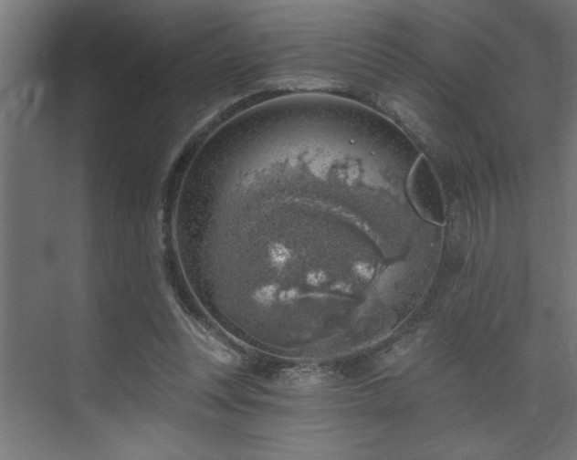 X0000074260351200608251232