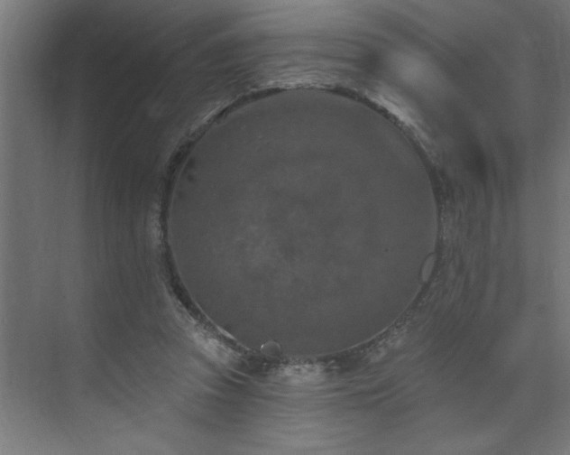 X0000074260353200608251232