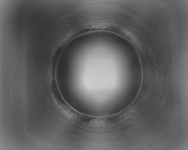 X0000074260354200608251232