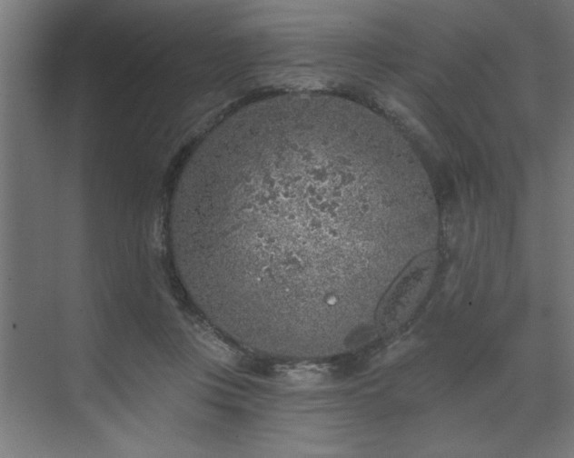 X0000074260359200608251232