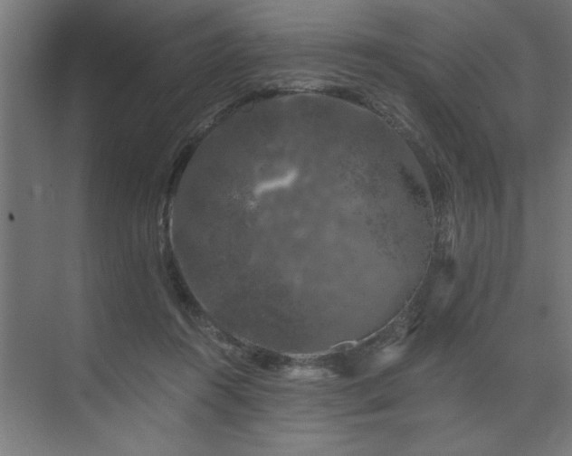 X0000074260360200608251232