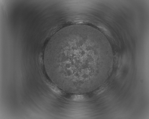 X0000074260361200608251232