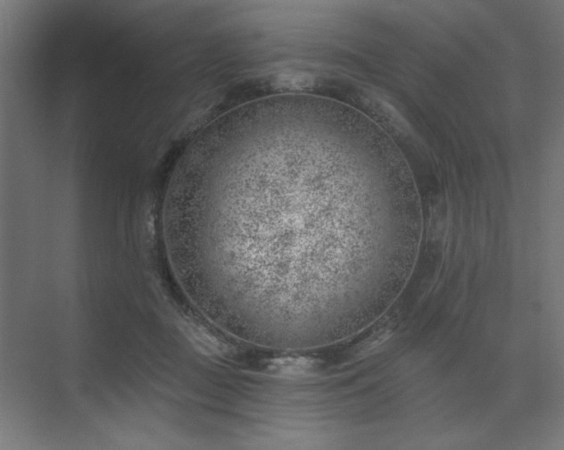 X0000074260363200608251232