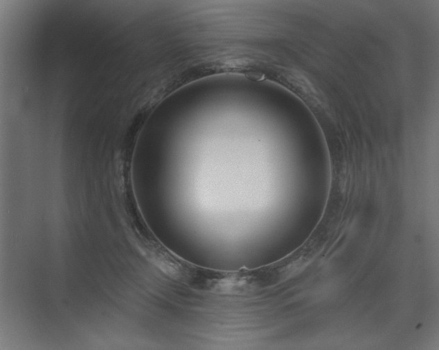 X0000074260366200608251232