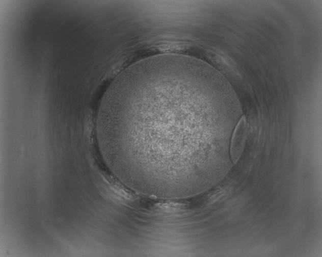 X0000074260367200608251232