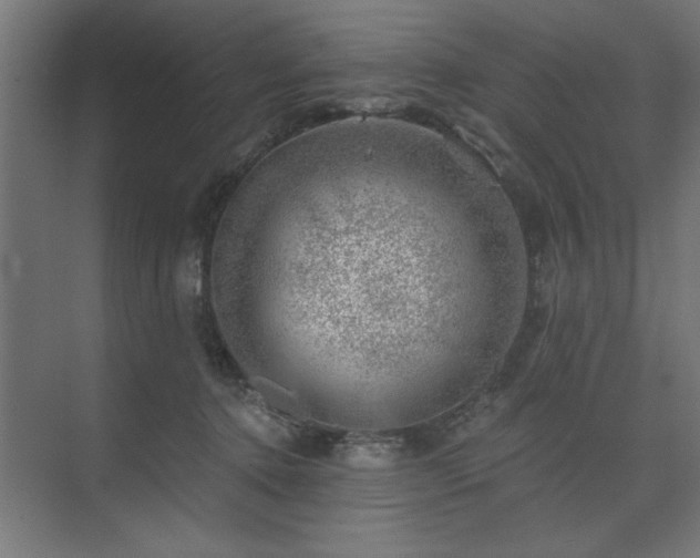 X0000074260368200608251232