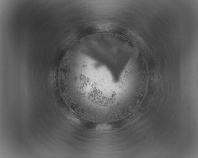 X0000074260369200608251232